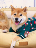 Sweater Dog Festive Festival Red New Year Greeting - Image 4
