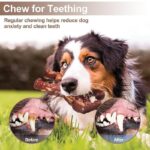 Dog Molar Nibbling Nylon Beef Flavor Toy - Image 2