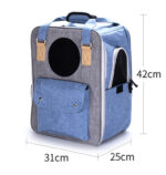 Outdoor Portable Summer Breathable Large-capacity Canvas Backpack Space Capsule - Image 3
