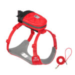 Dog Hand Holding Rope Chest Strap Small Dog Teddy Corgi - Image 3