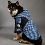 Fashion Brand Windproof And Rainproof New Dog Raincoat Shell Jacket - Image 3