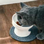 Cat Bowl Ceramic High-foot Oblique Single Bowl - Image 4