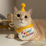 Pet Dog Fashion Special Decoration Bib Hat