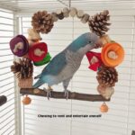 Parrot Swing Pine Nut Grinding Mouth Grinding Claw Log Bird Stand Rod Color Decoration - Image 4