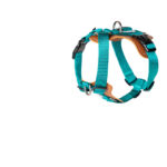 Dog Leash Explosion-proof Puppies Type - Image 2