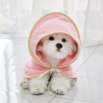 Microfiber Pet Quick-drying Bathrobe - Image 2