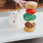 Pet Sniffing Educational Toys Stress Relief Ball