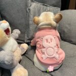 Pet Clothes Dog Plush Princess Sweater - Image 5