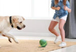 Pet Design Egg Shaped Dancing Toy Pet Smart Snack Dispenser - Image 3
