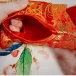 Pet Clothes Dog Chinese Ancient Style Tang Dress - Image 5