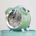 Going Out Portable Space Pet Alarm Clock Cat Bag - Image 2