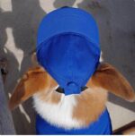 New Adjustable Sun-proof Exposed Ears Pet Hat - Image 7