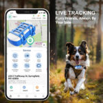 Pet Positioning Tracker Waterproof Real-time Positioning - Image 6