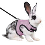 Guinea Pig Rabbit Rope Minipet Traction Vest Chest Back - Image 8