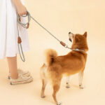 Free Hands Running Lead Rope Crossbody - Image 3
