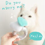 Pet Gift Ring To Relieve Boredom Sniff And Miss Food Plush Toy - Image 2