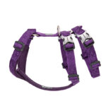 Vest Type Dog Lead Rope Chest Strap Out - Image 6