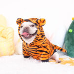 French Bulldog Plush Pajamas For Autumn And Winter Dog Clothes - Image 5