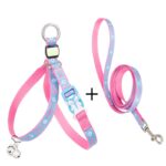 Pet Cat Bell Chest Strap Haulage Rope Package Vest Small Dog Teddy Leash - Image 10