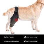 Pet Joint Protector Fracture Disability Fixed Knee Pad Leg Auxiliary Strap Dog Postoperative Protective Cover - Image 3