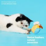 Bird Catnip Cat Toy Self-Hi Cat Teaser