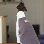 Small And Medium Dog Clothes Whybit Greyhound Accessories - Image 6