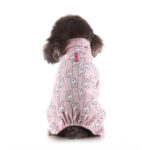 Pet Clothes Autumn And Winter At Home - Image 6
