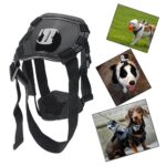 Dog Harness Chest Strap Camera Accessory For Dualuse Back On Chest - Image 4