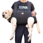 Pet Medium And Large Dog Backpack - Image 6
