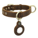 Retro Double-sided Cowhide Dog Collar Handmade Halter Positioning Tracking Anti-lost - Image 5