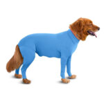 Pet Dog Jumpsuit Medium Large Dog Pajamas Anxiety - Image 6