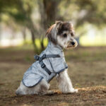 Chest And Back Raincoat Two Legs Waterproof Teddy Medium And Small Dog Raincoat Traction - Image 3
