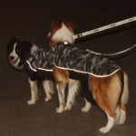 Functional Pet High-reflective Assault Suit - Image 5