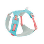 Dog Chest And Back Hand Holding Rope Walking Young Medium Large Dog - Image 7