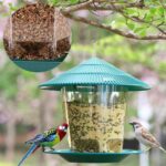 Outdoor Garden Hanging Transparent Bird Feeder - Image 6