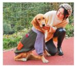 Pet Winter Thickening Large Dog Clothes Sweater - Image 10