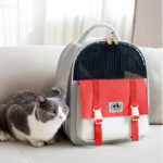 Portable And Foldable Large-capacity Cat And Dog Backpack - Image 6