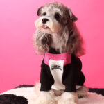 Dog Clothes Stitching Zipper Pullover Sweater - Image 2