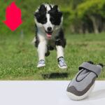 Pet Shoes Wear-resistant And Breathable Big Dog - Image 5
