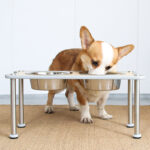 Adjustable Height Dog Food Bowl Rack - Image 5