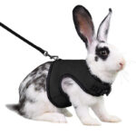 Guinea Pig Rabbit Rope Minipet Traction Vest Chest Back - Image 7