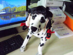 Pet Dog Wig Tied Double Braid Funny Performance Props - Image 4