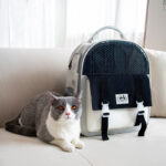 Portable And Foldable Large-capacity Cat And Dog Backpack - Image 8