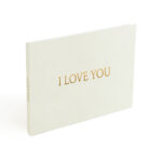 Multi-functional Commercial Wedding Video Invitation - Image 5