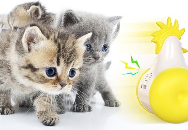 Funny Cat Toy New Product Electric Sounding Tumbler Hair Laser Chicken Funny Cat Toy