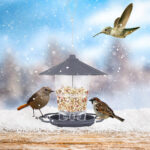Opvouwbare Wilde Vogels Feeder Opknoping Birdcage Tuin Yard Outdoor Decoratie Met Afneembaar Dak Grote Capaciteit Bowls - Image 2