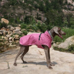 Pet Shell Jacket Dog Winter Outdoors Ski Suit - Image 2