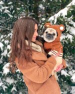 French Jarre Aero Bull Pet Fleece-lined Warm Ear-standing Sweater - Image 8