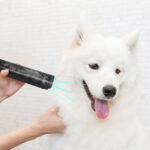 New Hair Suction Warehouse Pet Shaver - Image 6