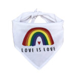 Pet Rainbow Triangle Scarf Dog Saliva Towel - Image 3